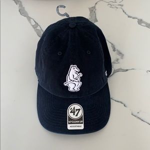 Chicago Cubs hat